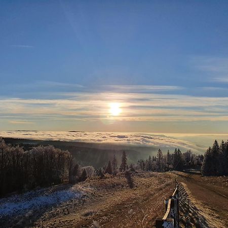 Un Havre De Quietude Au Coeur Des Montagnes Apartment Metabief Luaran gambar